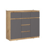 Тумба ТБ22 Сити серый графит/дуб крафт золотой